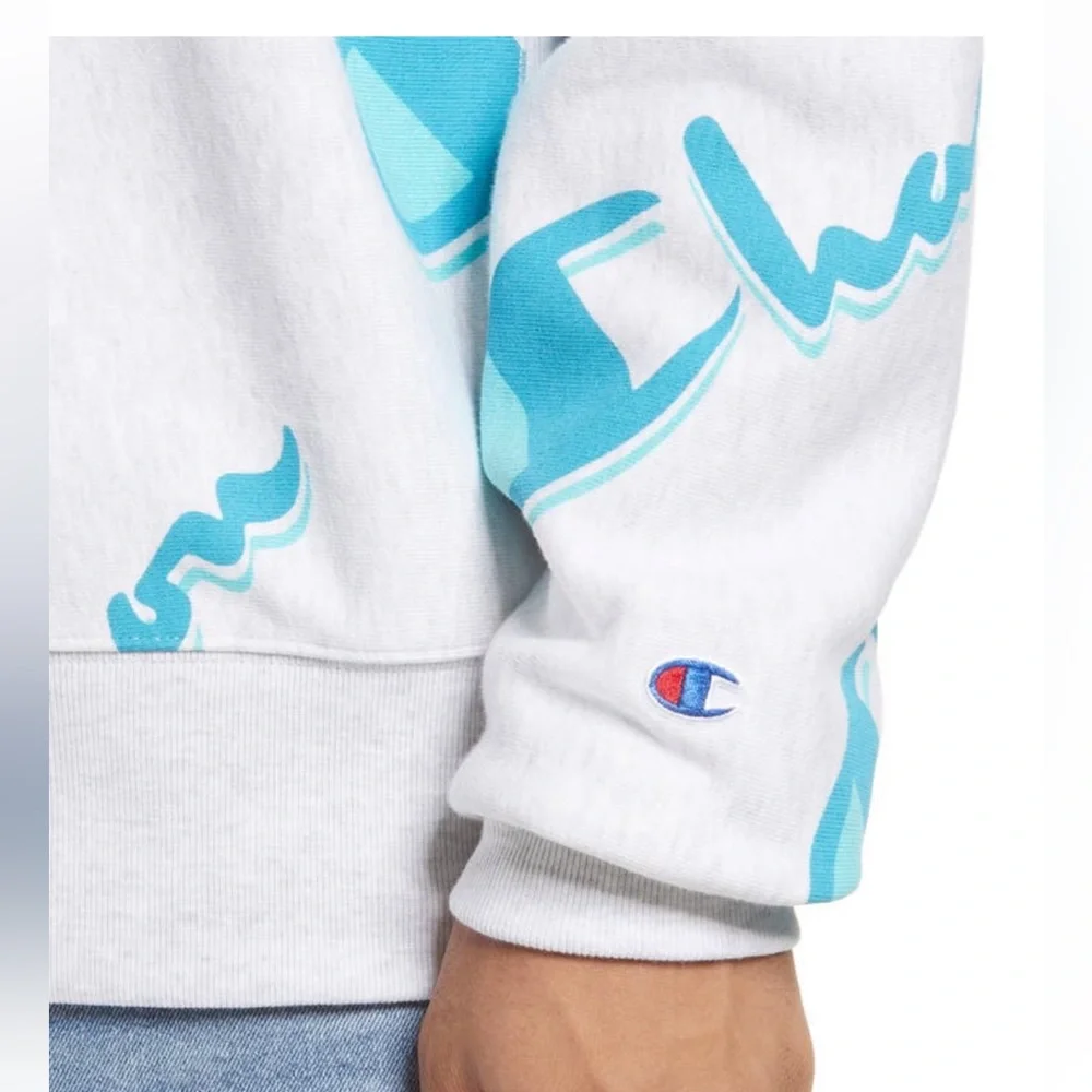 Champion Crewneck Sweatshirt - Picture 10 of 14